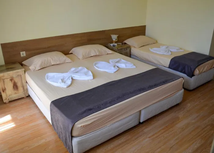 Гостевой дом Edelvais Приморско